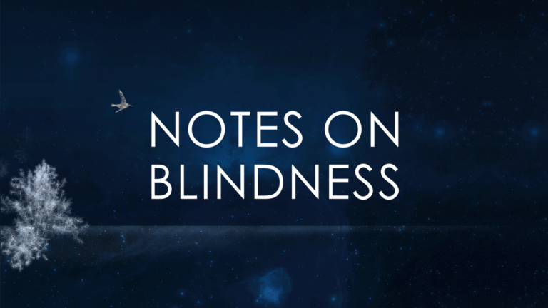 Notes On Blindness