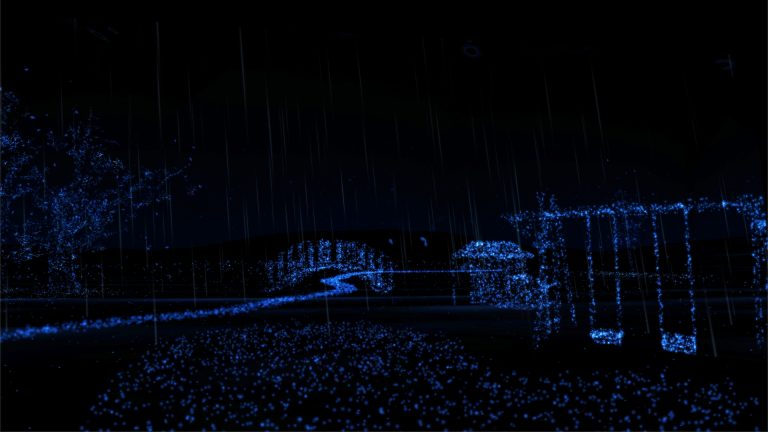 Notes On Blindness